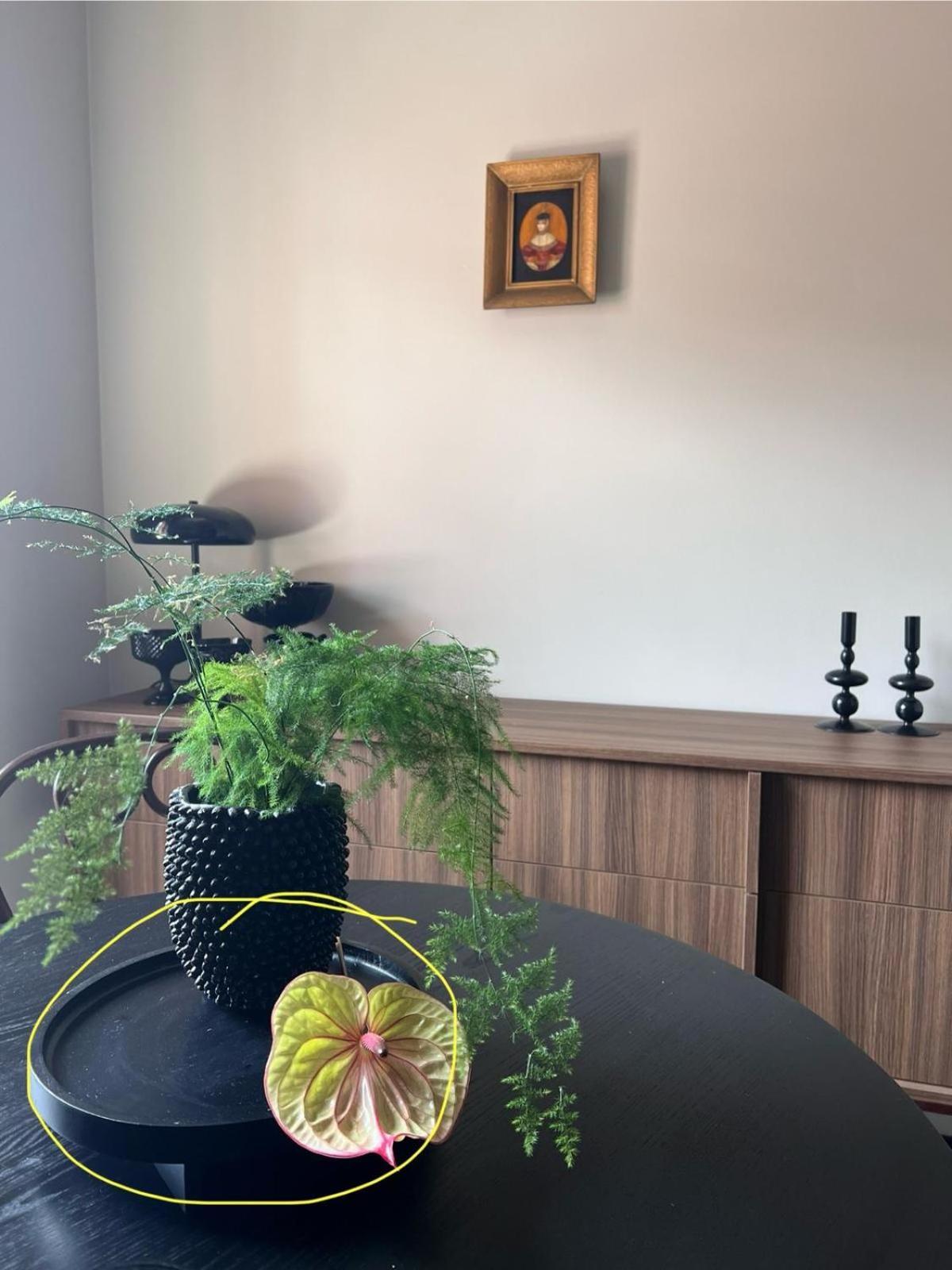 Entu Apartamenty Odrzanska Wrocław Kültér fotó